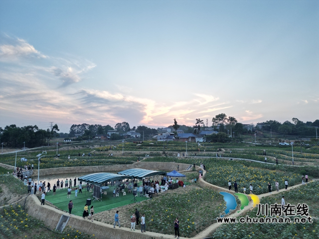 夜幕降临，向日葵基地游人如织（李桂涟摄）.jpg