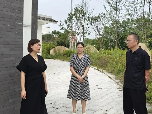 泸县人大常委会副主任罗晓玲到天兴镇督导当前重点工作(图2) 2.jpg