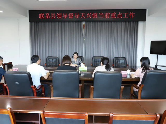 泸县人大常委会副主任罗晓玲到天兴镇督导当前重点工作(图3) 3.jpg