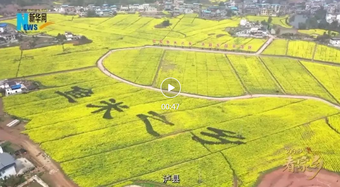 QQ浏览器截图20250605101939.png