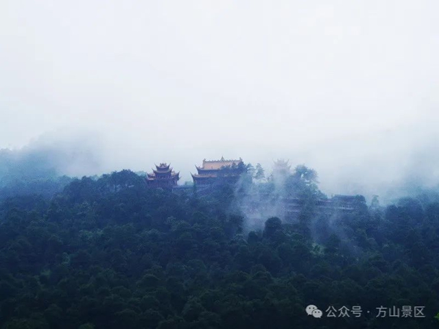 来泸州这里，开启一场“多巴胺之旅”！
