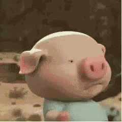 6.gif