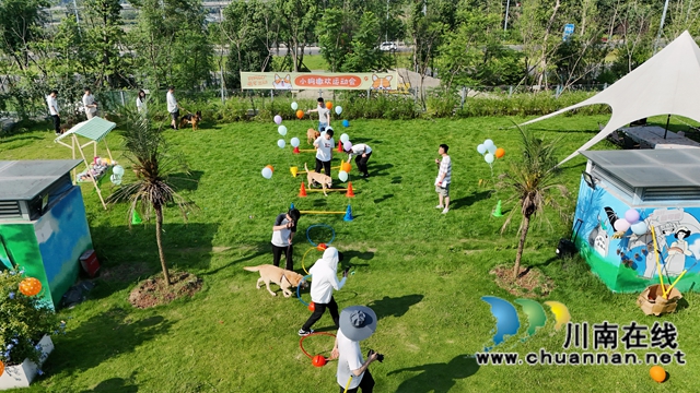 小狗撒欢运动会现场全景。.JPG