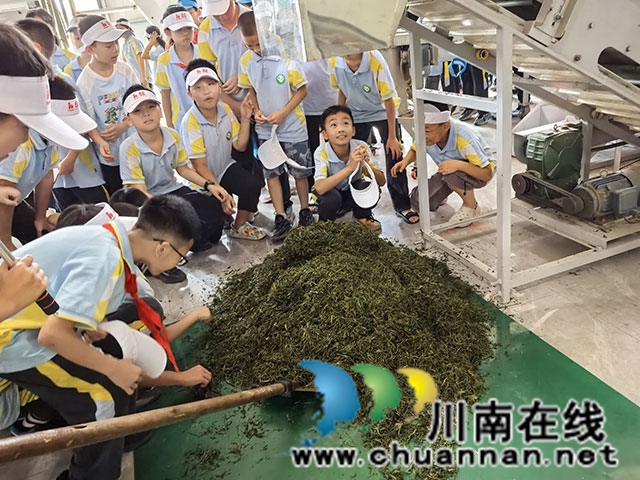参观制茶.jpg