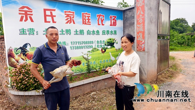 图5：宰杀后的土鸡肉紧实鲜嫩.jpg