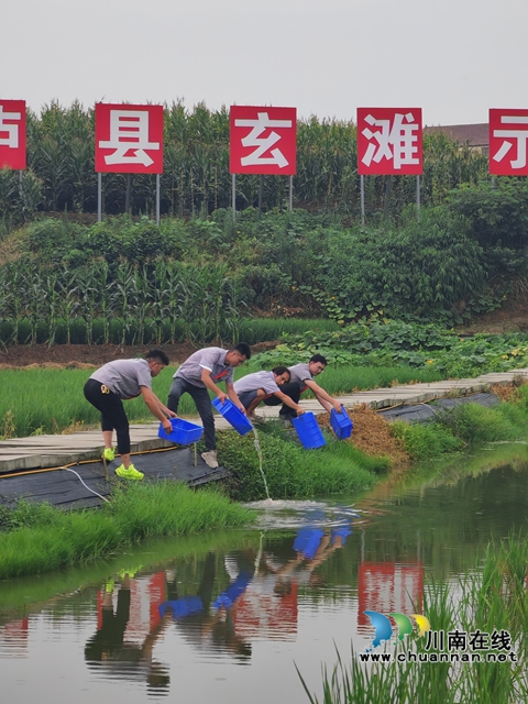 投放大头虾苗（曾佐然摄）.jpg