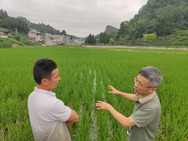 泸州市自然资源和规划局联合三部门深入基层开展全国“土地日”主题宣传活动(图3) 3.jpg