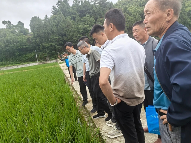 泸州市自然资源和规划局联合三部门深入基层开展全国“土地日”主题宣传活动(图2) 2.jpg