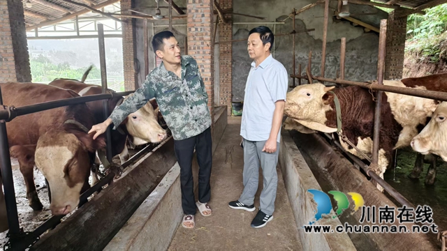 图3：牟光彬关心返乡创业青年肉牛增收情况.jpg
