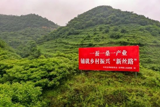林4.jpg