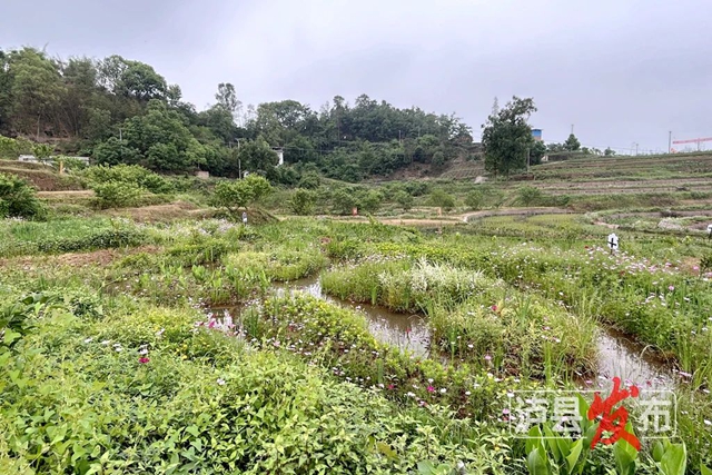 河３.jpg