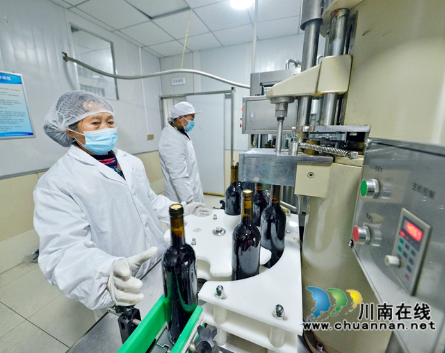 泸州龙城红葡萄酒庄刺葡萄酒酿造车间.jpg