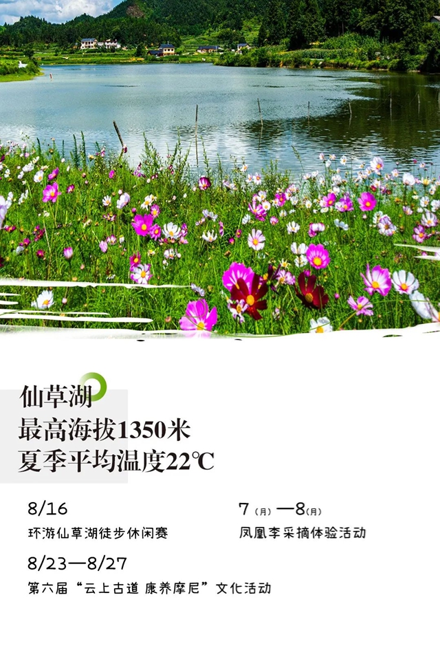 清凉感拉满，一脚踩进叙永仙草湖的夏天