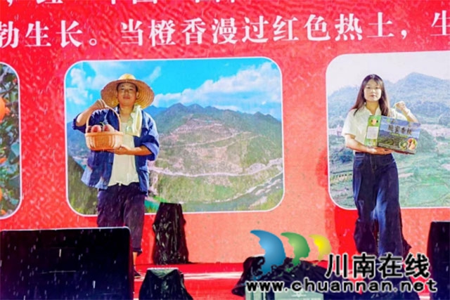 古蔺县茅溪镇:开启安逸走四川,醉享“梅”好时光(图17) 新闻通稿(杨梅季开幕)1222.jpg