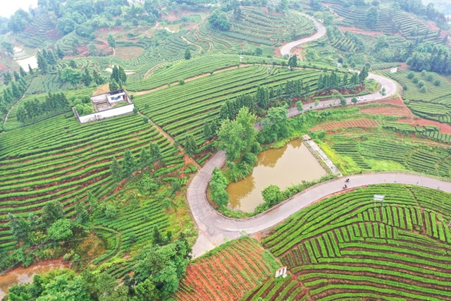 纳溪4.jpg