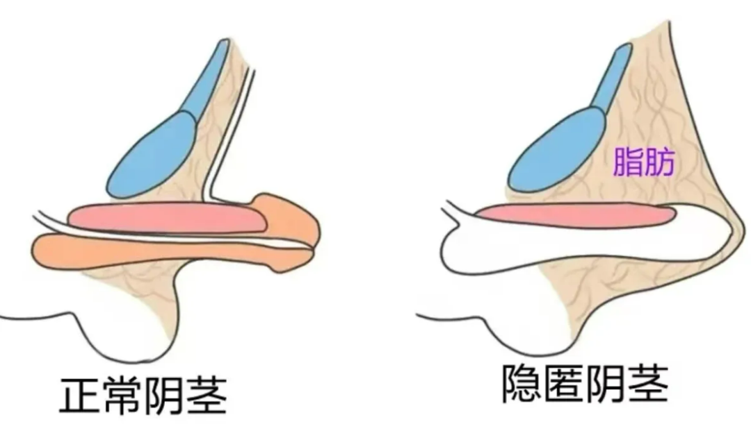 微信图片_20250721093253.png