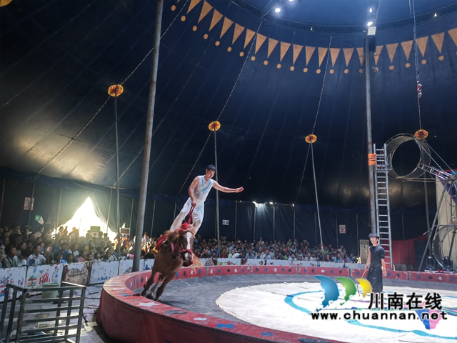 马术表演（曾佐然摄）.jpg