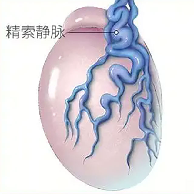 【关注】“蛋蛋”的忧伤，小伙私处青筋暴起……
