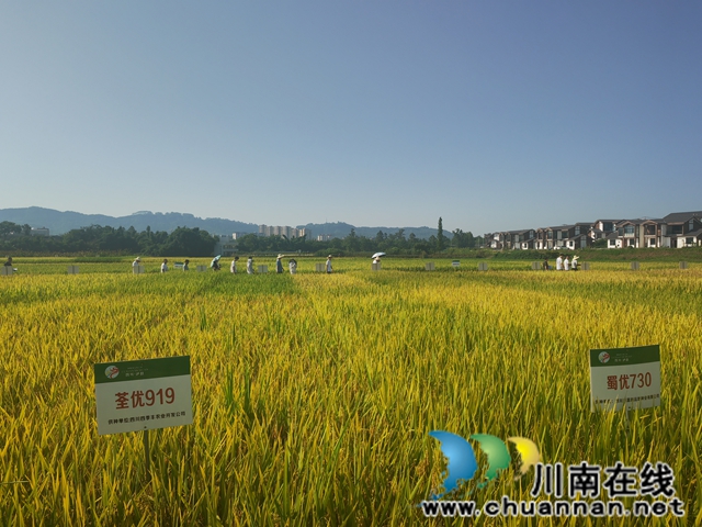现场参观观摩（曾佐然摄）.jpg