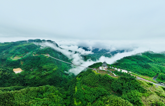 一头扎进泸州,去过20℃+的夏天(图3) 3.jpg