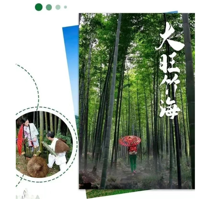 躲进“竹界天花板”大旺竹海,躺平、撒野、吃鲜到上头!(图10) 10.jpg