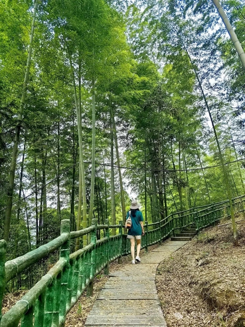 躲进“竹界天花板”大旺竹海,躺平、撒野、吃鲜到上头!(图5) 5.jpg