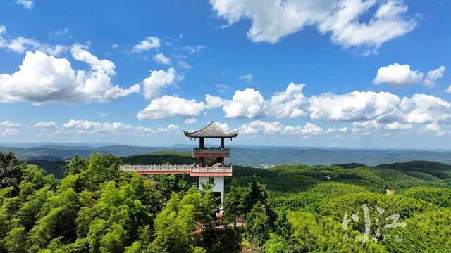 躲进“竹界天花板”大旺竹海,躺平、撒野、吃鲜到上头!(图8) 8.jpg