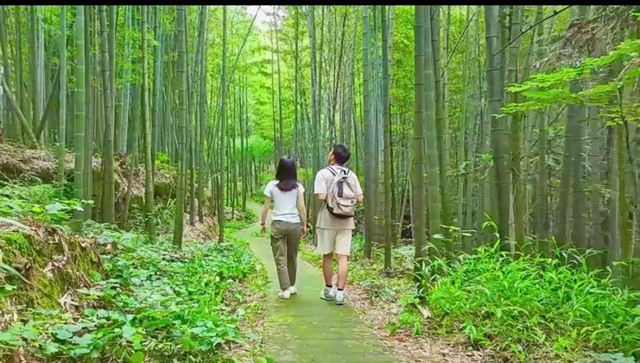 躲进“竹界天花板”大旺竹海,躺平、撒野、吃鲜到上头!(图11) 11.jpg