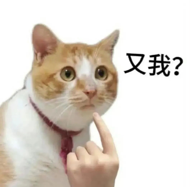 6402.jpg