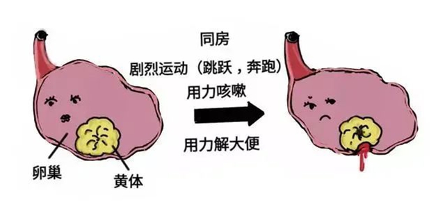 黄4.jpg
