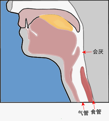 3.gif