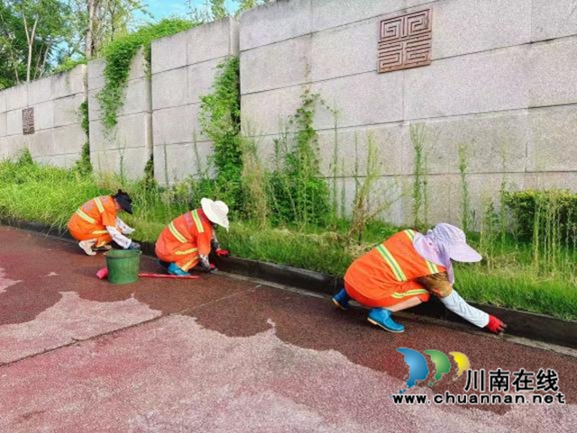 龙马潭区开展道路深度清洗专项行动(图3) 3.jpg