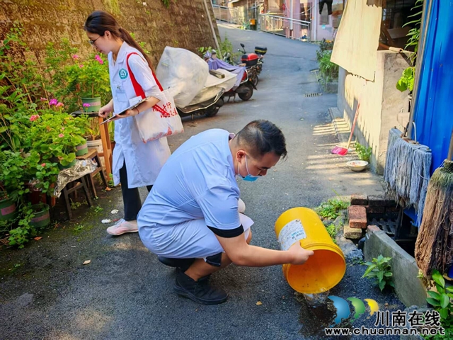 龙马潭区小市街道：全域推进病媒生物综合防治 筑牢健康环境防线