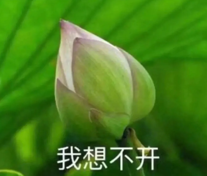 常喝豆浆，会得乳腺增生？