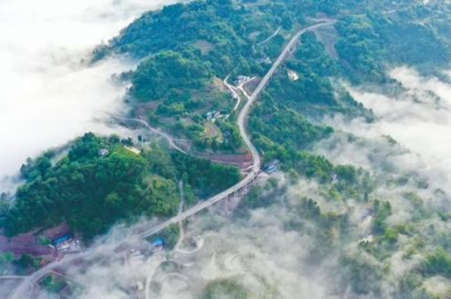 泸州这条公路变身“绿色走廊”！一起来看美丽交通建设如何助推城乡低碳融合