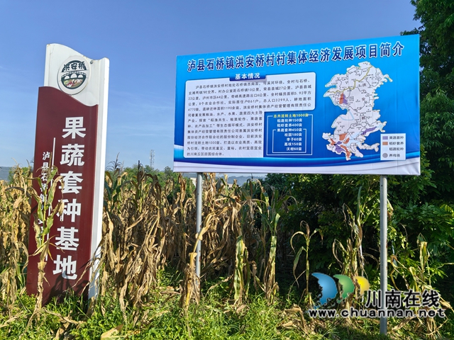 洪安桥村村集体经济发展项目（曾佐然摄）.jpg
