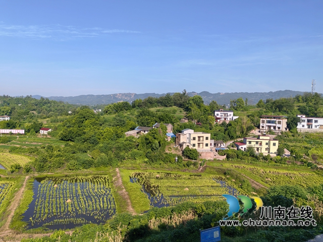 洪安桥稻虾基地（曾佐然摄）.jpg