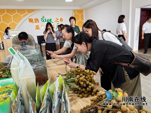 媒体记者拍摄龙眼龙虾（曾佐然摄）.jpg