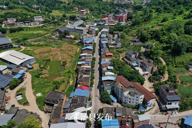 石桥3.jpg