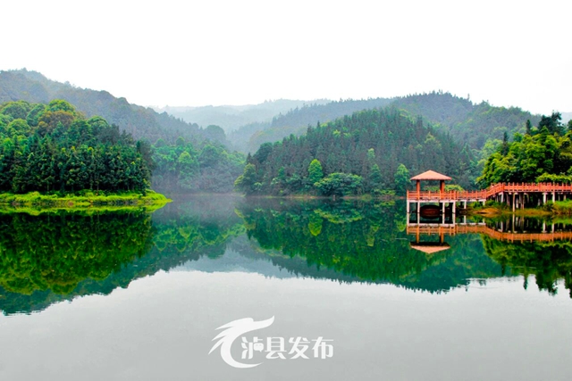 石桥24.jpg