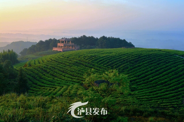 石桥22.jpg