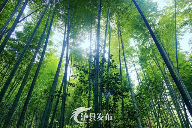 石桥23.jpg