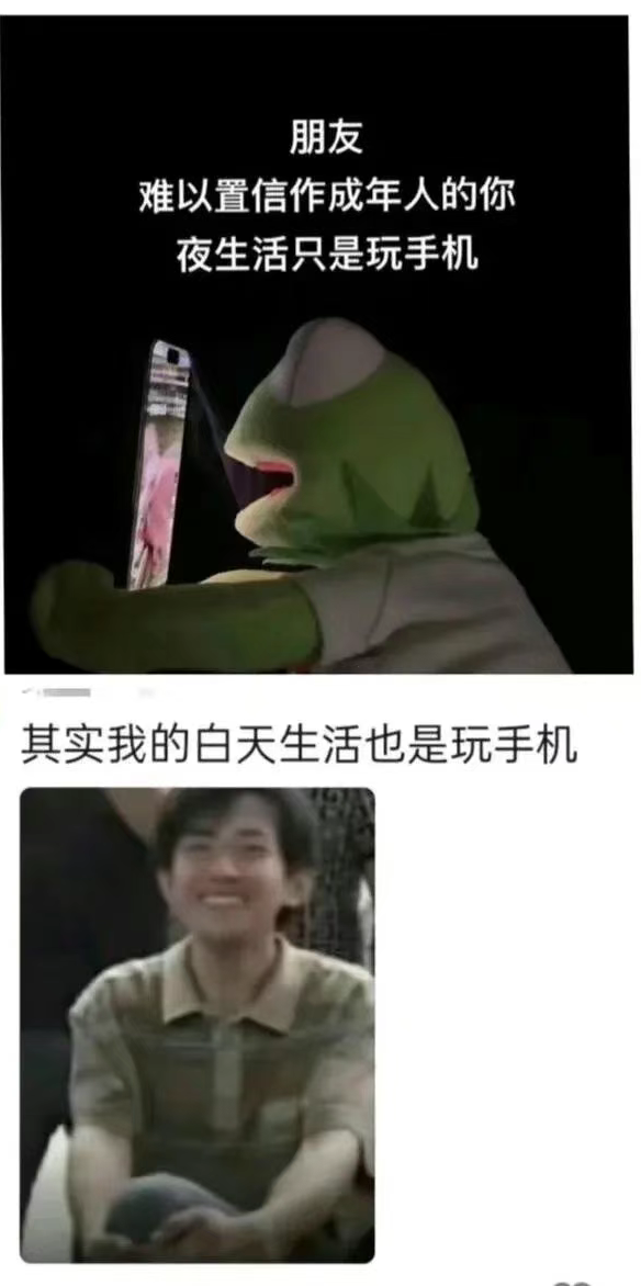 躺着玩手机真有意思，我也是瞎了后才发现的……