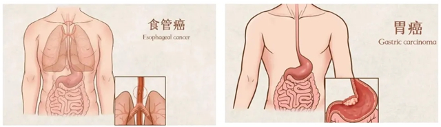 信号2.jpg