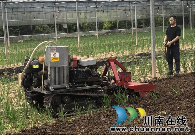 让科学技术为观光农业旅游插上腾飞的翅膀