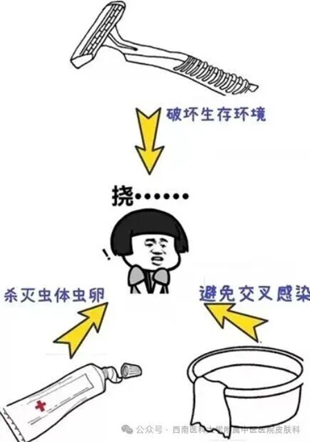 红6.jpg