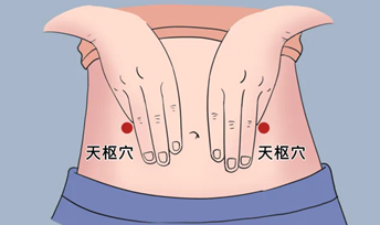 营养4.png