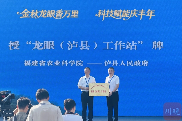 泸州对外发布“泸州桂圆”区域公用品牌