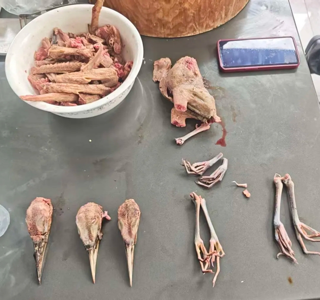 震惊！自贡一茶府厨房屠宰野生动物，背后“元凶”被捉！