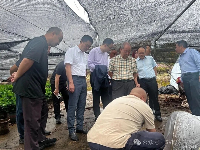 民2.jpg